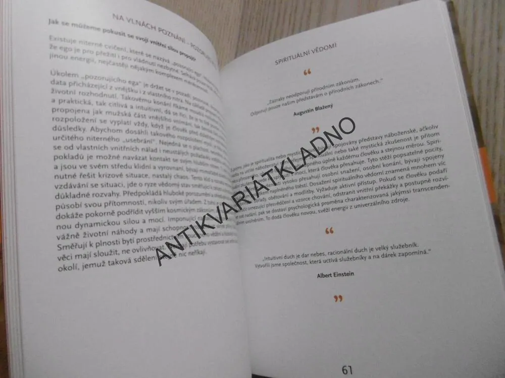 SPOLEČNÝMA OČIMA, LEA PAULÍNOVÁ, **an