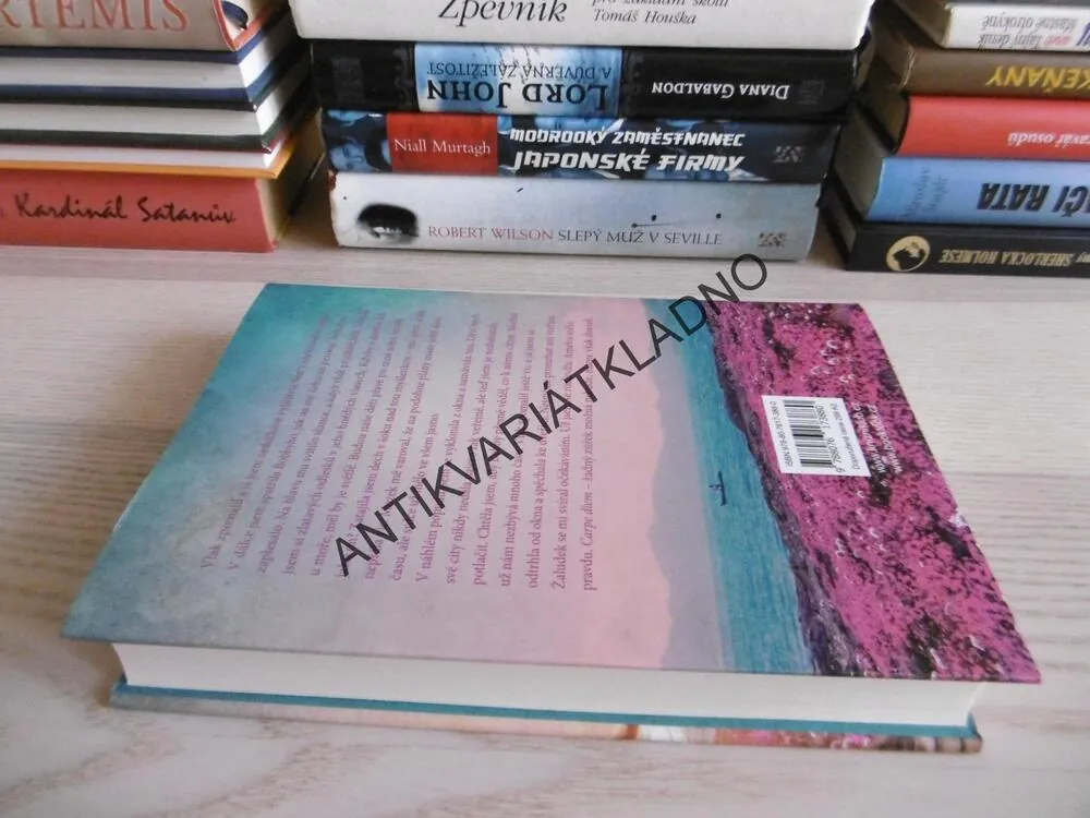 NÁVRAT DO CORNWALLU, LIZ FENWICK, **an