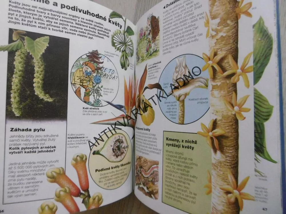 ZÁZRAKY A TAJEMSTVÍ V PŘÍRODĚ, USBORNE, **an