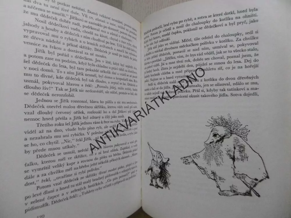 ČARODĚJNÁ MOŠNA, JIŘÍ HORÁK, JIŘÍ TRNKA, **an