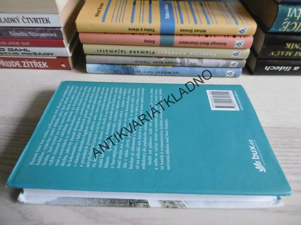 SNĚHOVÁ KRÁLOVNA, MICHAEL CUNNINGHAM, **an