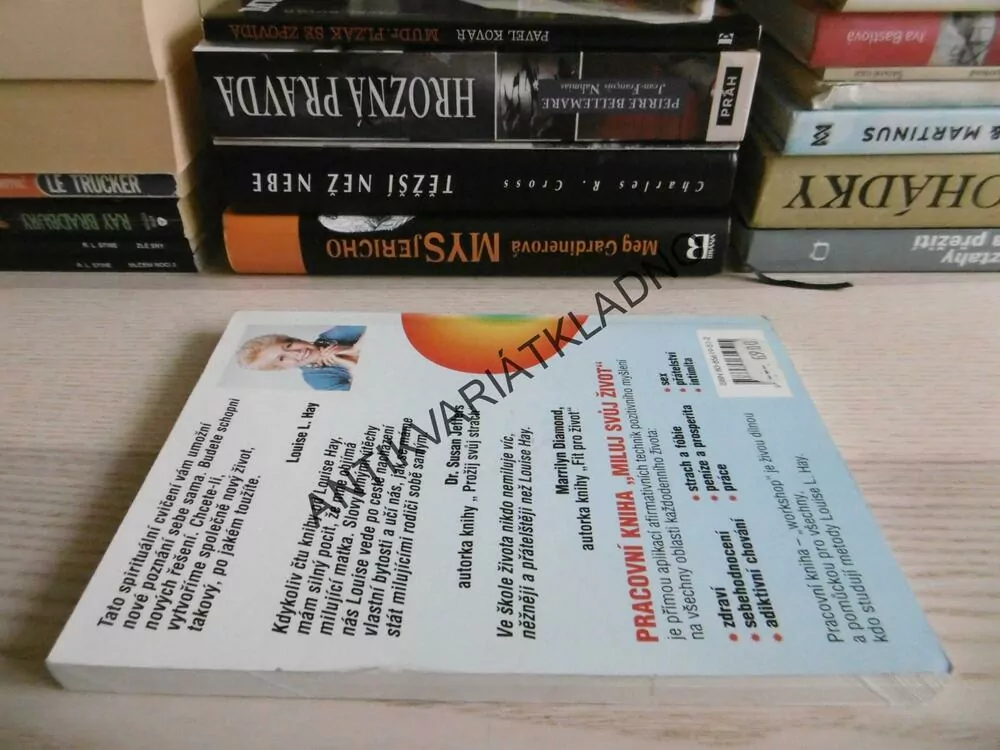 MILUJ SVŮJ ŽIVOT, PRACOVNÍ KNIHA, LOUISE L.HAY, **an