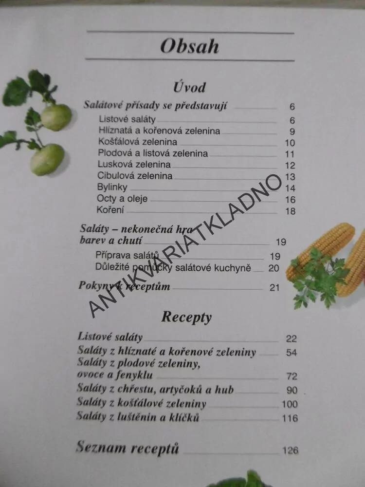 SALÁTY, VÍCE NEŽ 100 RECEPTŮ, PETER NIKOLAY, **an