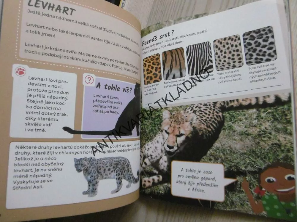 DIVOKÁ ZVÍŘATA, **an