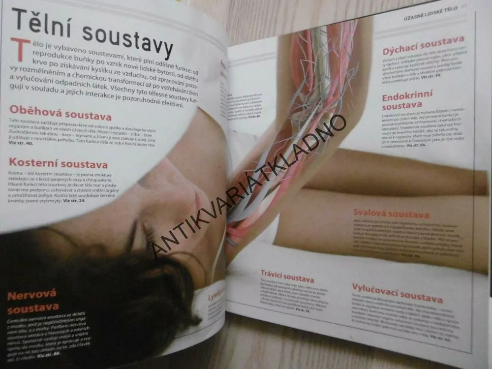 ÚŽASNÉ LIDSKÉ TĚLO, **an