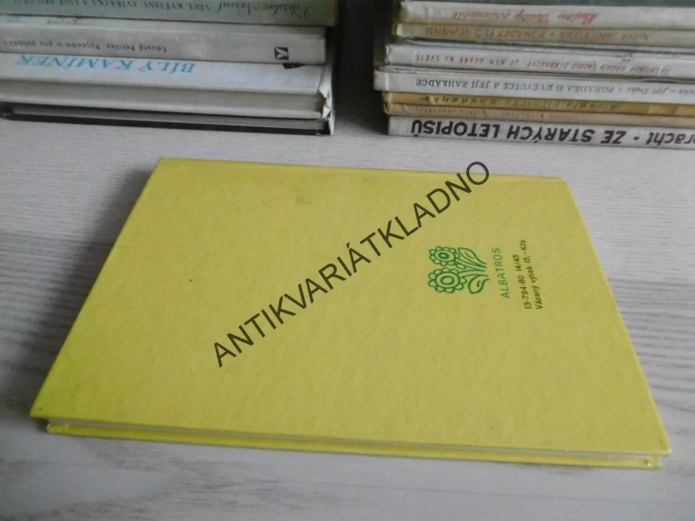 DOBRÉ RÁNO NA ZAHRÁDCE, KAMILA SOJKOVÁ, **an
