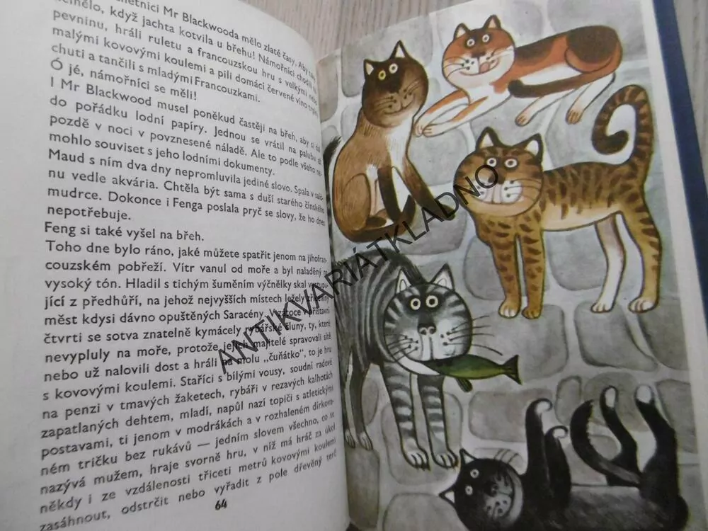 BUMMI, POVÍDKY O ZVÍŘATECH PRO VELKÉ I MALÉ DĚTI, FRIEDRICH WOLF, **an