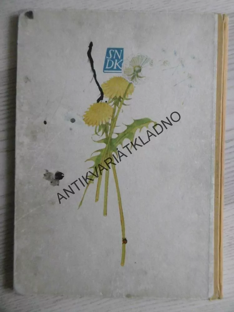 ŘÍKADLA, PÍSNIČKY A HÁDANKY, OLGA ŠTRUNCOVÁ, **an