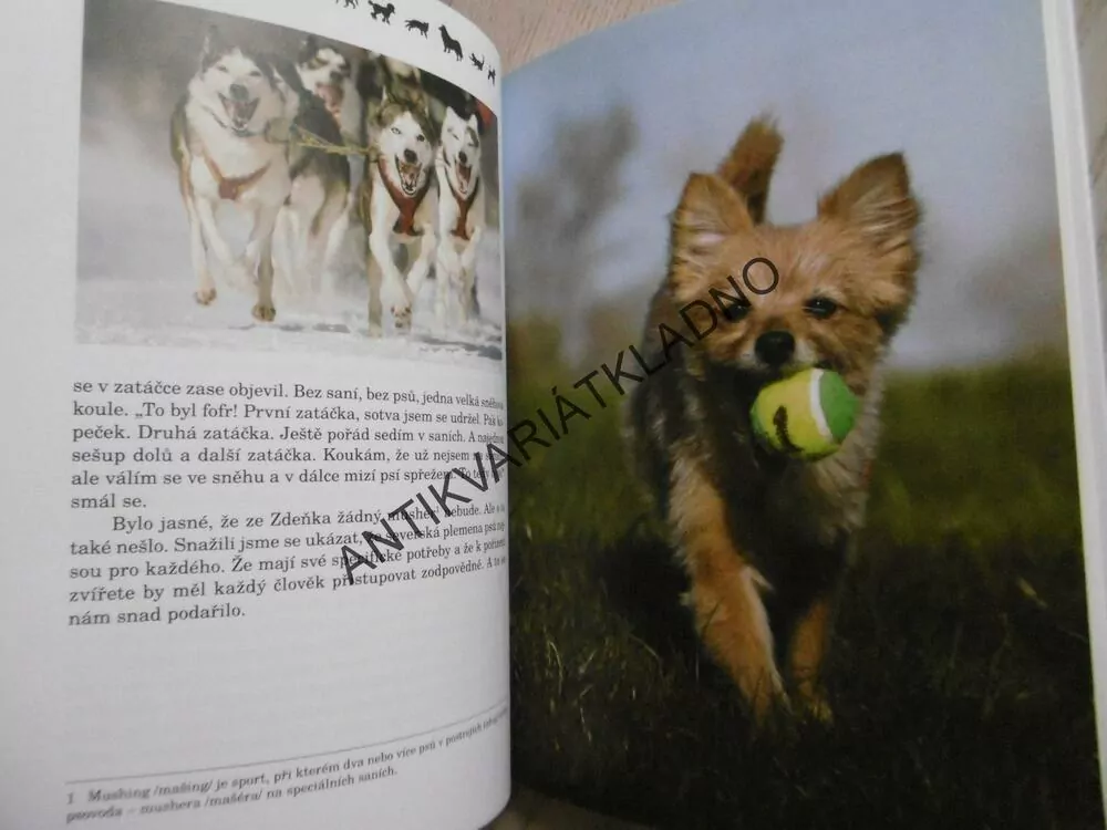 CHCETE MĚ?, JANA ZAKARIA ZVONÍČKOVÁ, **an