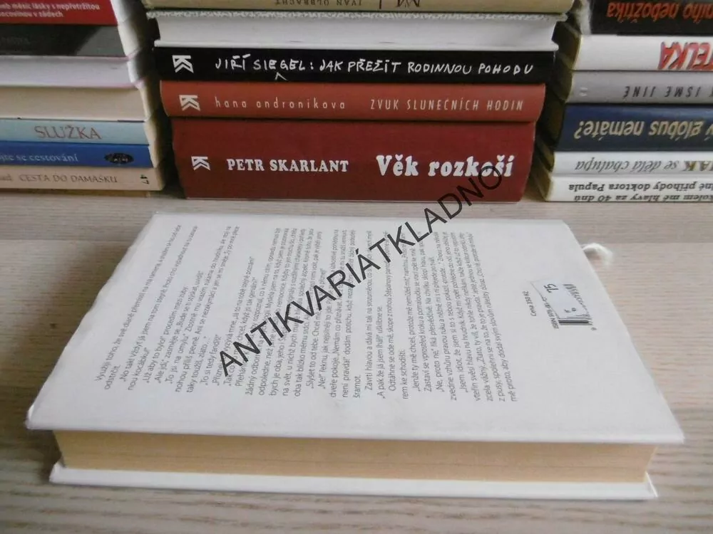 MILOVAT JE UMĚNÍ, PETRA LÁZNIČKOVÁ, **an