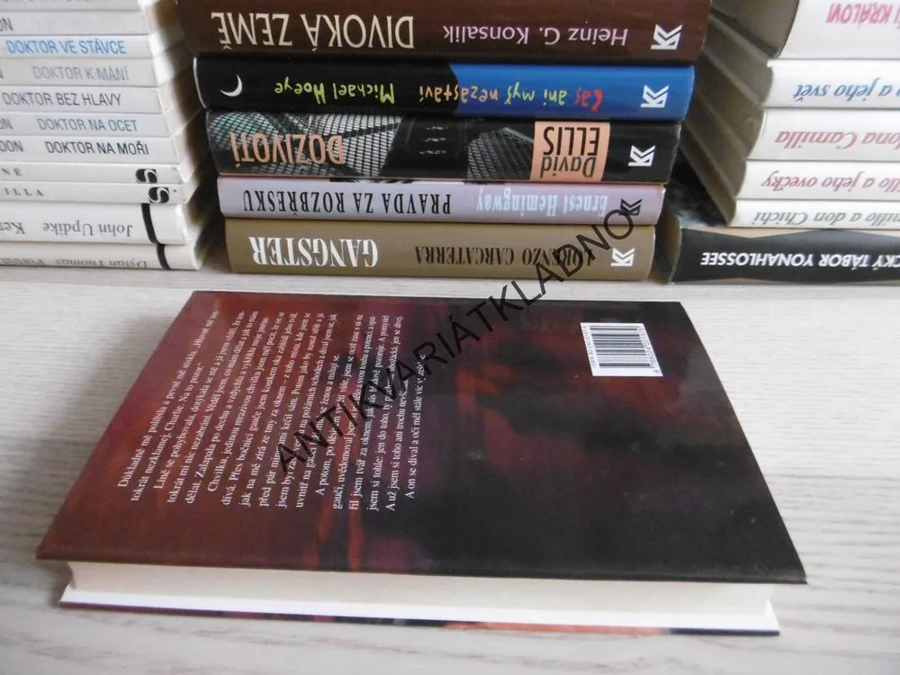 RŮŽE PRO ALGERON, DANIEL KEYES, **an