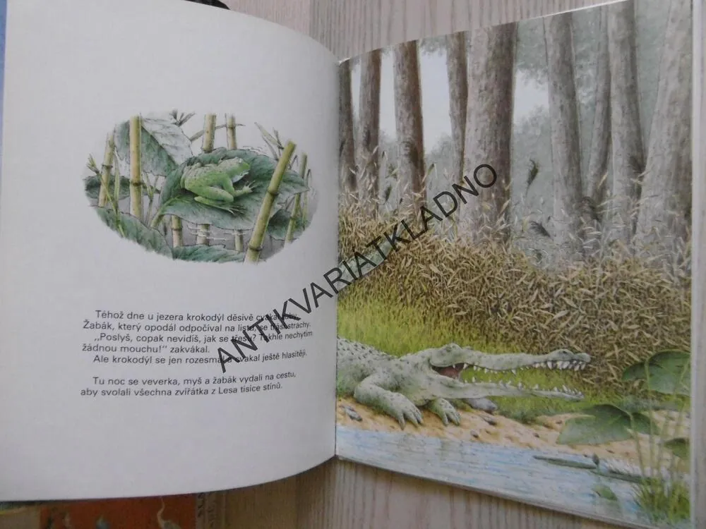 VEVERKA A MALÝ NOSOROŽEC, MISCHA DAMJAN, HANS DE BEER, **an