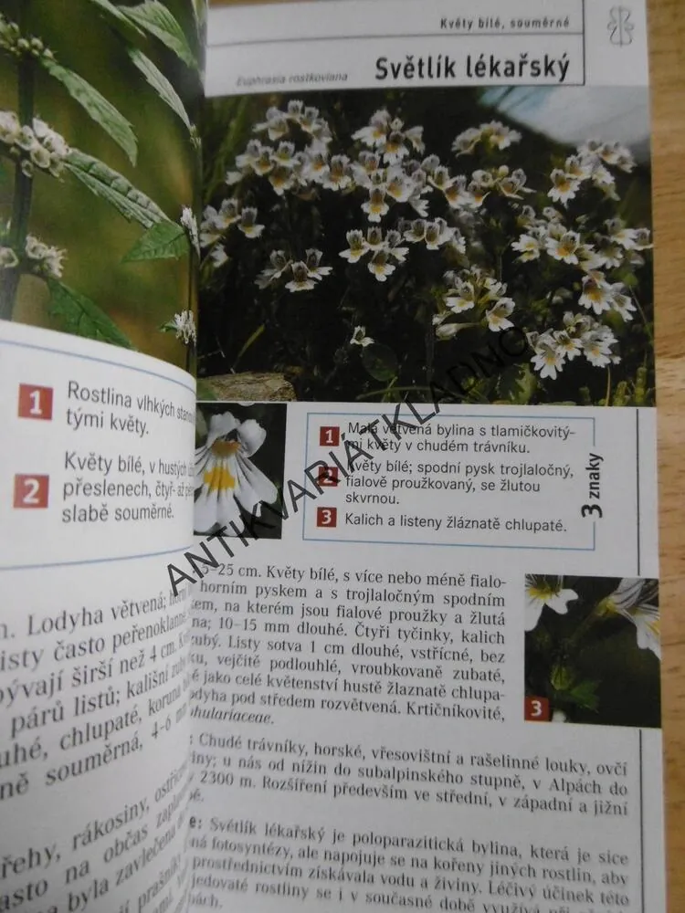 KVĚTINY, PRŮVODCE PŘÍRODOU, URČOVÁNÍ PODLE 3 ZNAKŮ, SEIDEL, HERBÁŘ