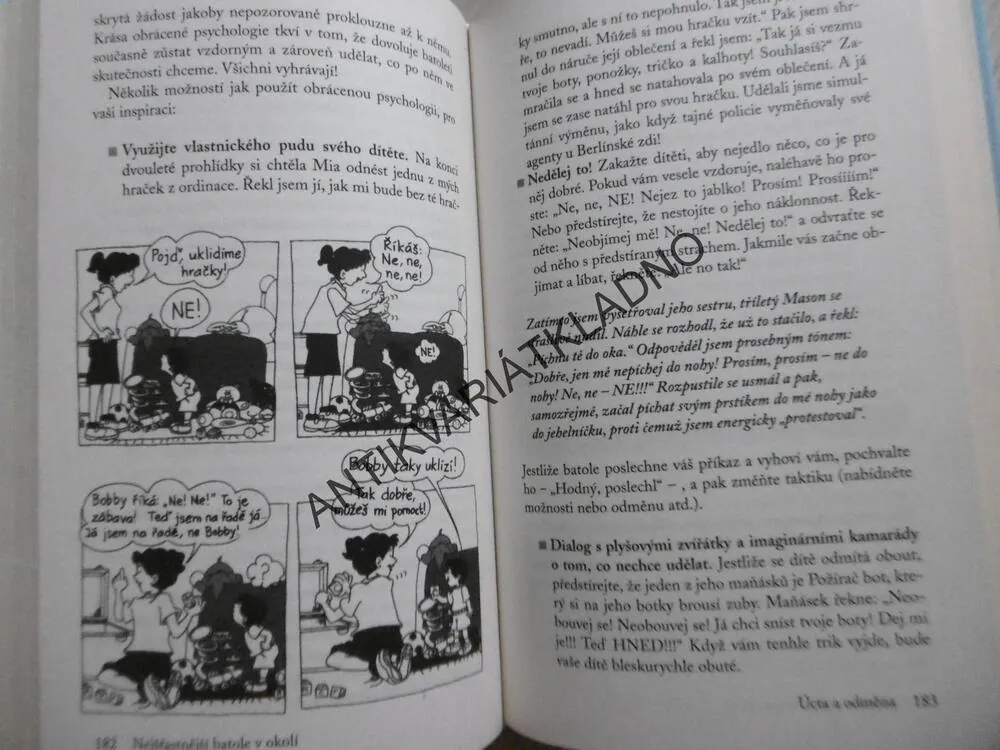 NEJŠŤASTNĚJŠÍ BATOLE V OKOLÍ, HARVEY KARP, **an