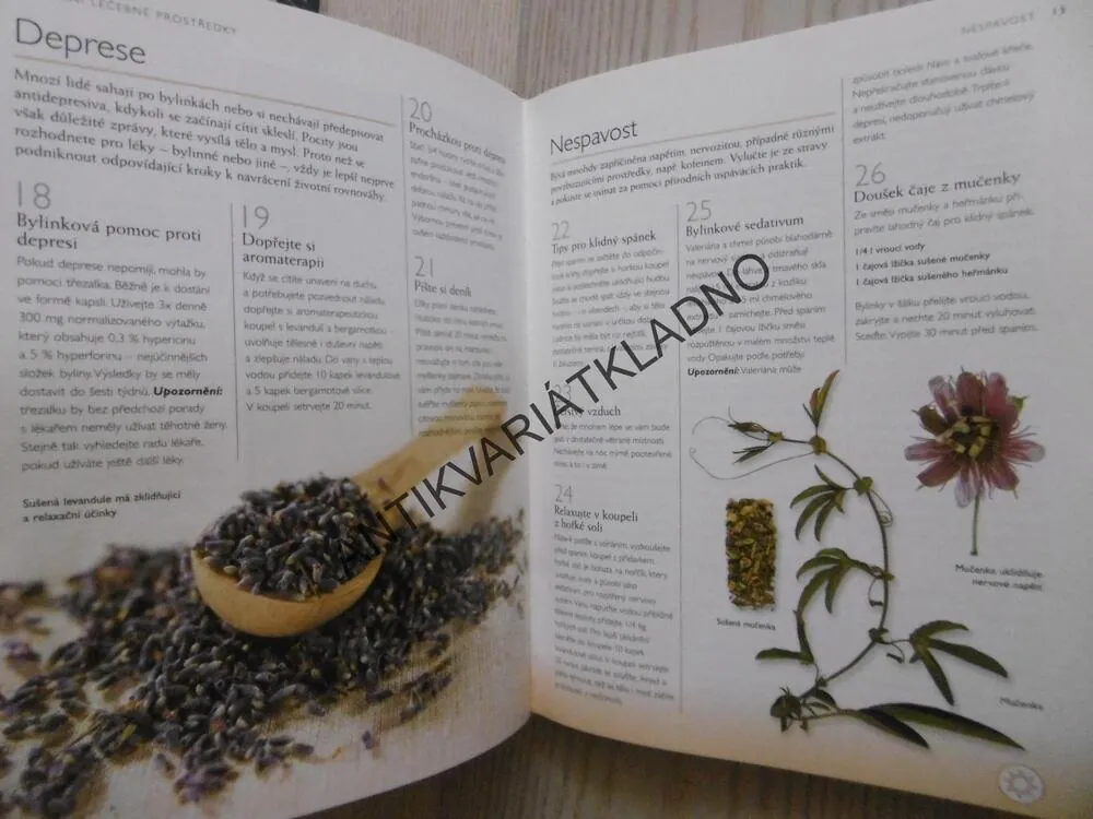 1001 PŘÍRODNÍCH PROSTŘEDKŮ, RECEPTY PRO ZDRAVÍ, KRÁSU A DOMOV, LAUREL VUKOVICOVÁ, **an