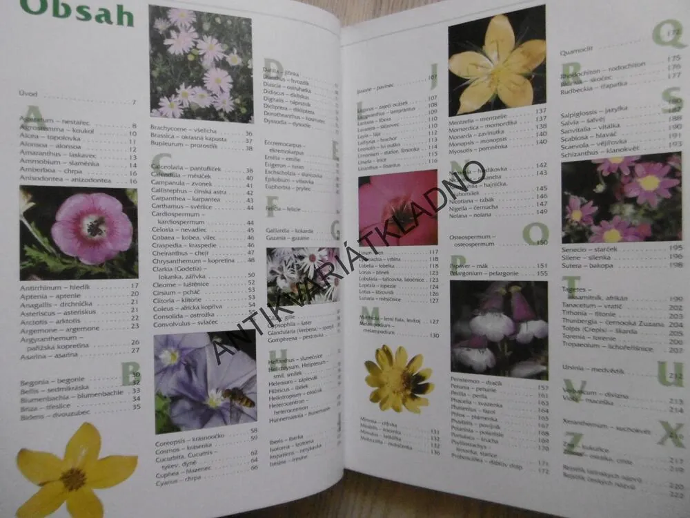 NEJHEZČÍ LETNIČKY NAŠICH ZAHRAD, ROMANA RYBKOVÁ, JIŘÍ R. HAAGER, **an