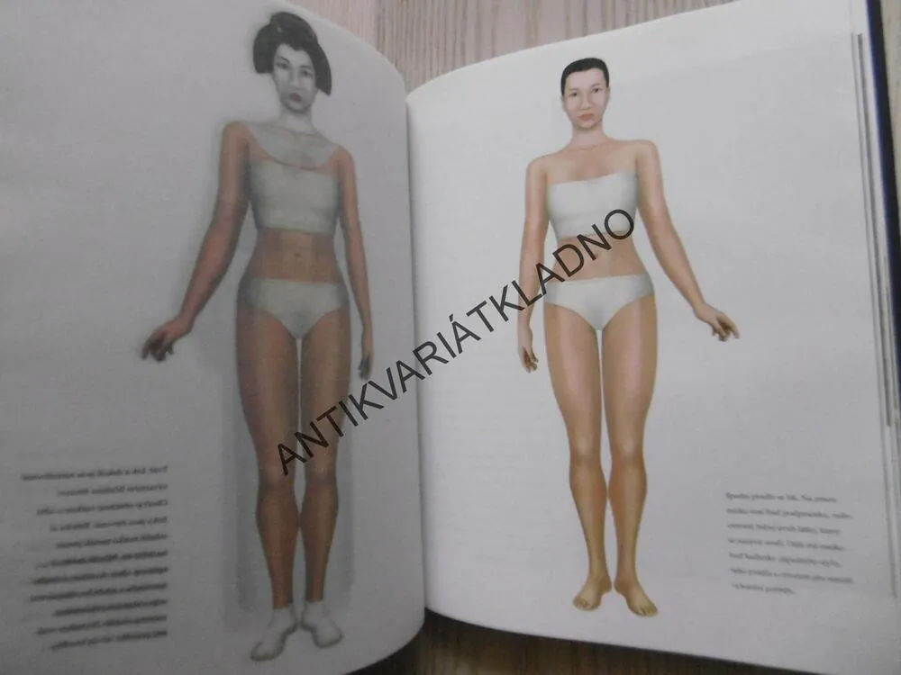 GEJŠA, JEDINEČNÝ SVĚT TRADICE, ELEGANCE A UMĚNÍ, JOHN GALLANGHER, **an