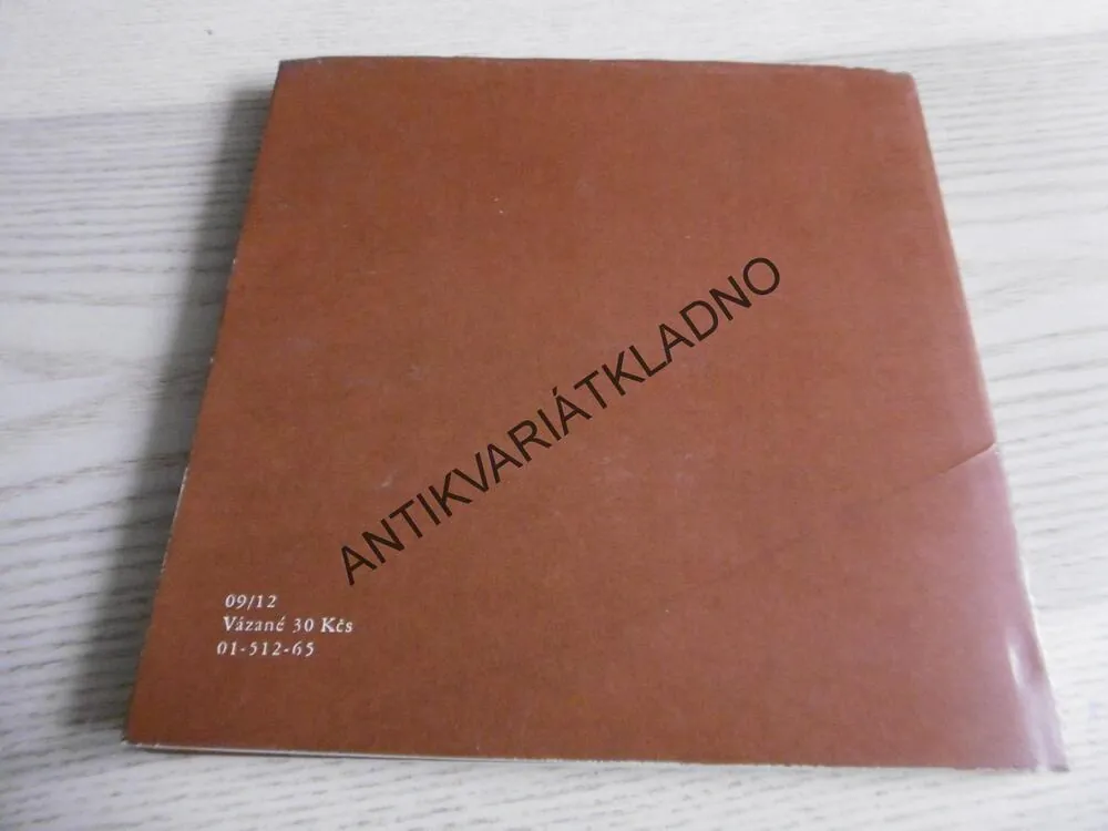 MALÁ GALERIE - PIETER BRUEGEL, **an