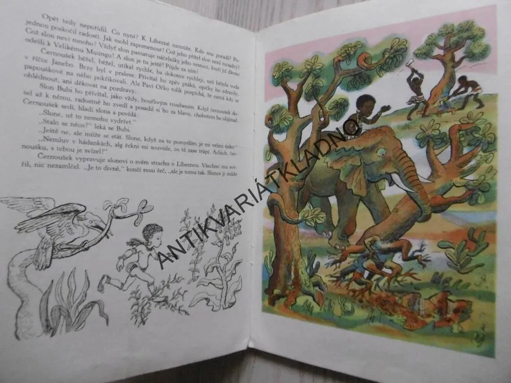 CIRKUS PAVÍHO OČKA, BOHUMILA SÍLOVÁ, 1948, **an