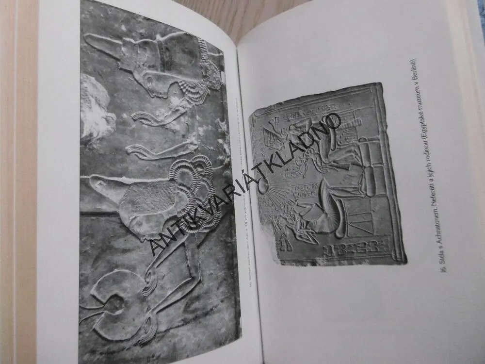 NEFERTITI, JOYCE TYLDESLEY, **an