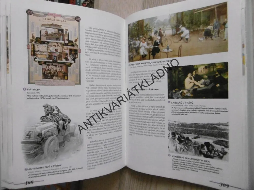 DĚJINY EVROPY, NAPSÁNO 12 EVROPSKÝMI HISTORIKY, **an