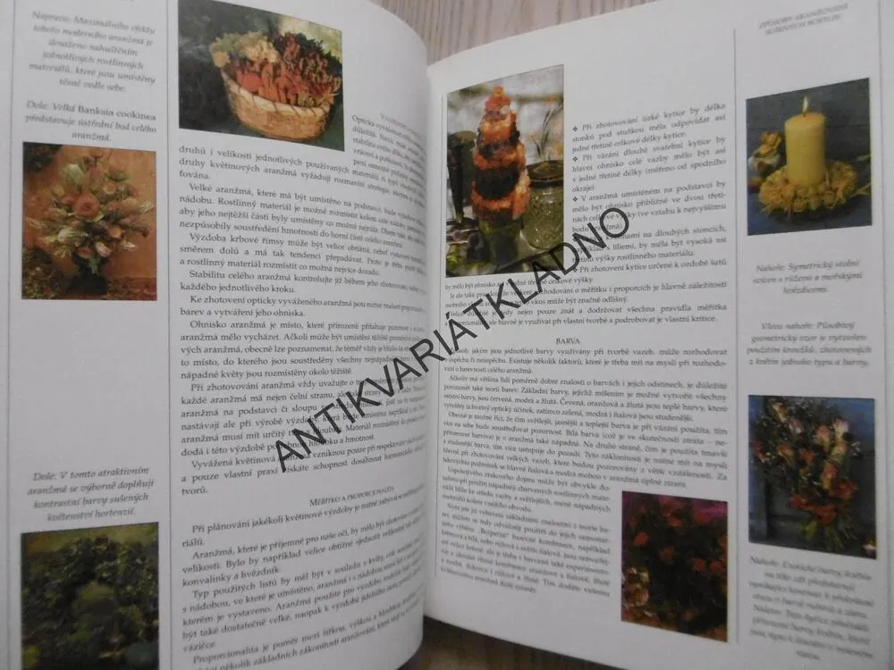 ARANŽOVÁNÍ SUŠENÝCH ROSTLIN, FIONA BARNETTOVÁ, **an
