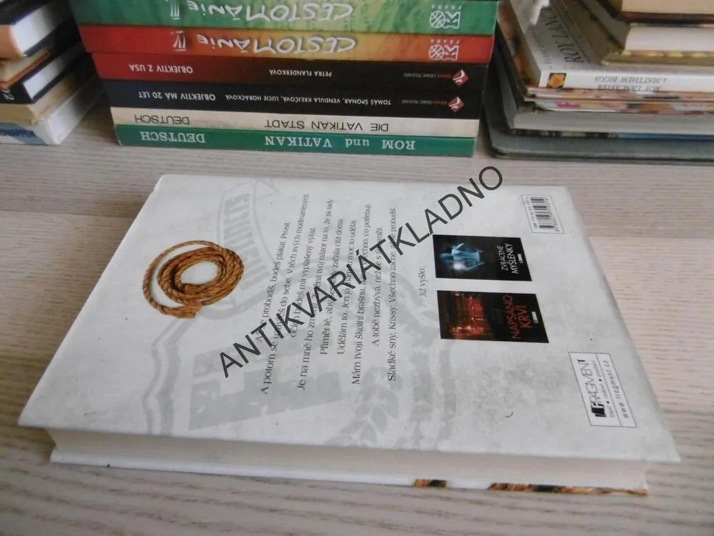 ODLOŽENÝ PŘÍPAD, ANDREA KANE, **an