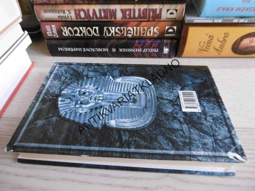 BOŽÍ BRÁNA, LYNDA S. ROBINSON, **an