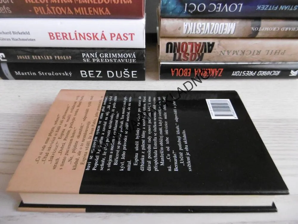 POSLEDNÍ ŽID, NOAH GORDON, **an