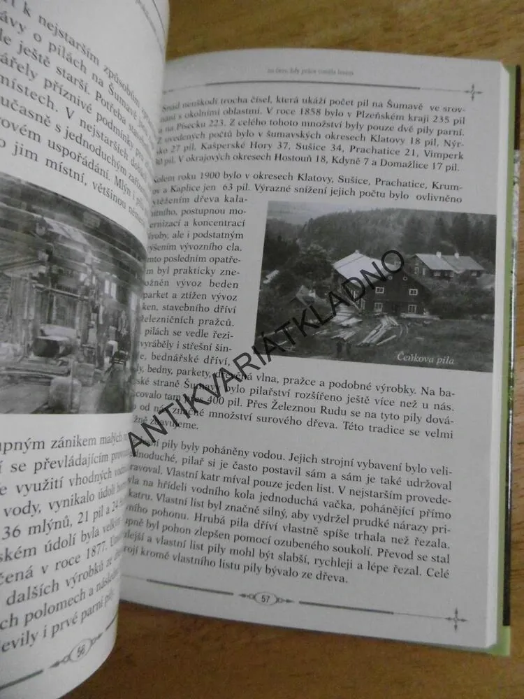 ŠUMAVSKÉ VZPOMÍNKY NA ČASY. KDY PRÁCE VONĚLA LESEM, LESNICTVÍ,DŘEVAŘSTVÍ, ŠUMAVA