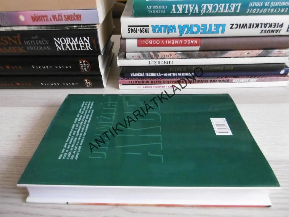 OKAMŽITÁ AKCE, ANDY MCNAB, **an