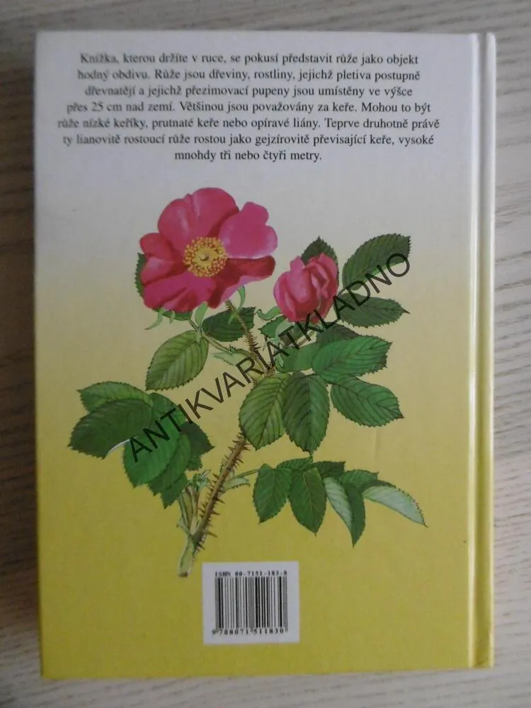 RŮŽE, VÁCLAV VĚTVIČKA, ZDENKA KREJČOVÁ, **an