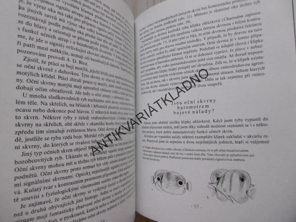 SVĚDECTVÍ KORÁLOVÝCH ÚTESŮ, HANS W. FRICKE, **an