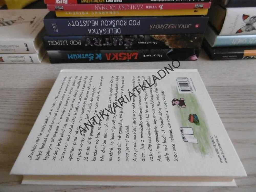 DENÍČEK MODERNÍHO FOTRA 3 ANEB HISTORKY Z RODIČOVSKÉHO PODSVĚTÍ, DOMINIK LANDSMAN, **an