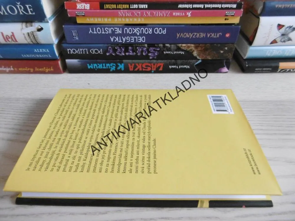 SEROTONIN, MICHEL HOUELLEBECQ, **an