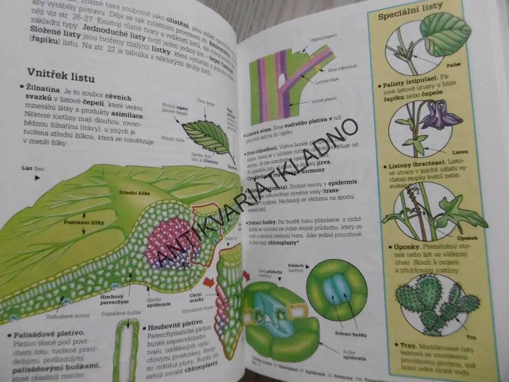 ILUSTROVANÝ PŘEHLED BIOLOGIE, CORINNE STOCKLEY, **an