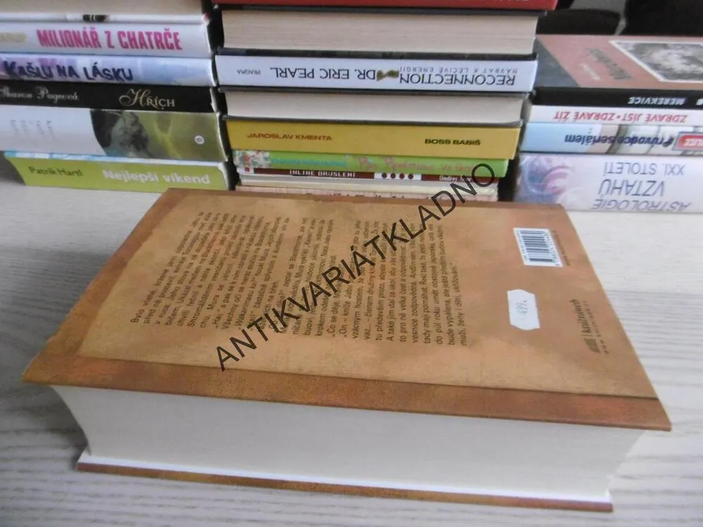 ŠÓGUN, JAMES CLAVELL, JAPONSKO, HISTORIE,