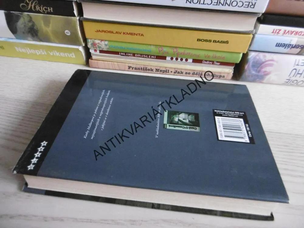 TAJEMSTVÍ DOMU WINTERŮ, CAROL O´CONNELLOVÁ, **an