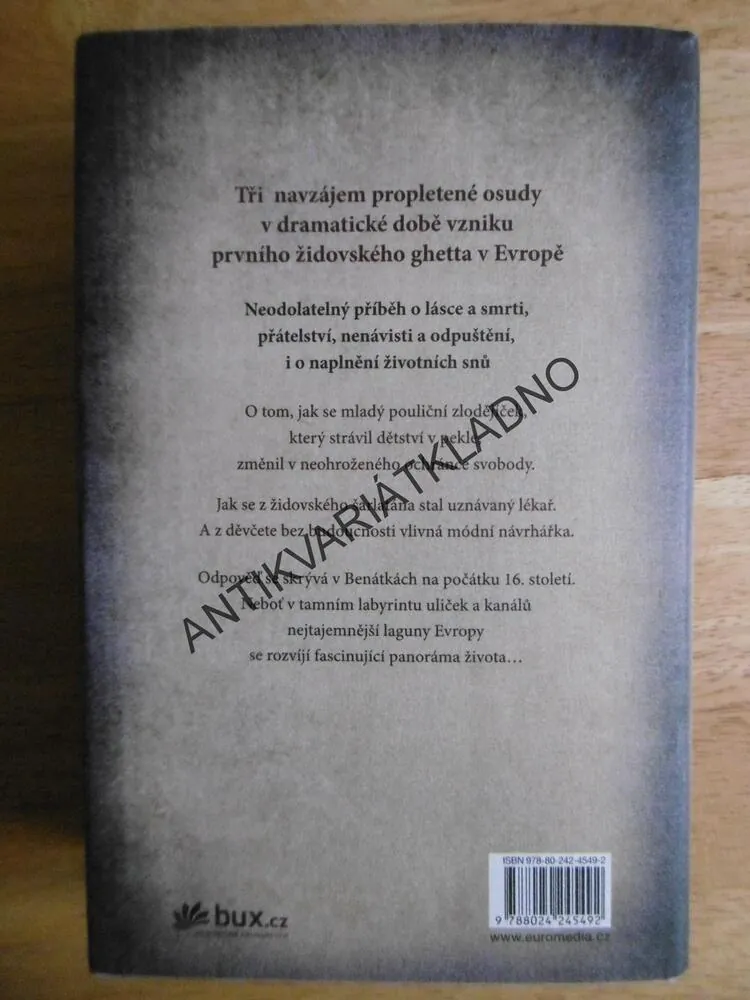 DÍVKA, KTERÁ SE DOTKLA NEBE, LUCA DI FULVIO, BESTSELLER