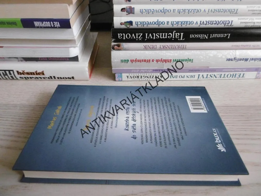 CO SNY VYPOVÍDAJÍ O DĚTSKÉ DUŠI, MARKUS SALHAB, BIANCA JÄGEROVÁ, **an