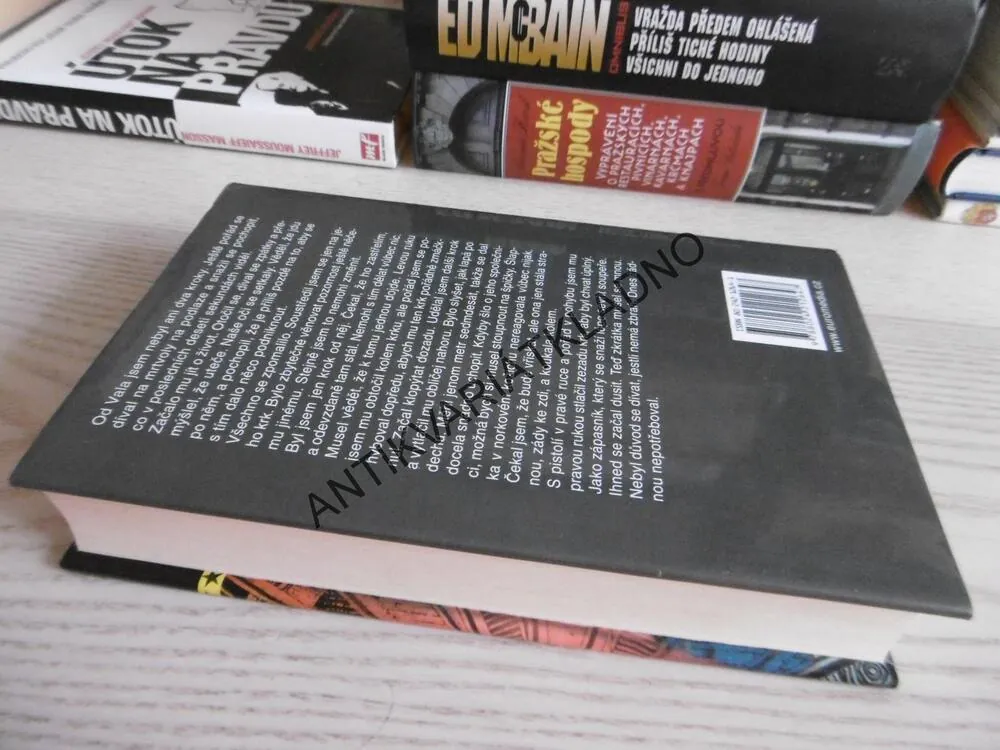 SPÁLENÝ SNÍH, ANDY MCNAB, **an