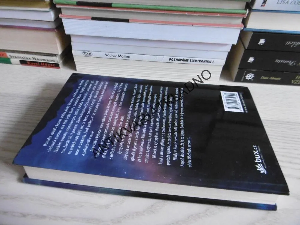 POD NEKONEČNOU OBLOHOU, VERONICA ROSSI, **an