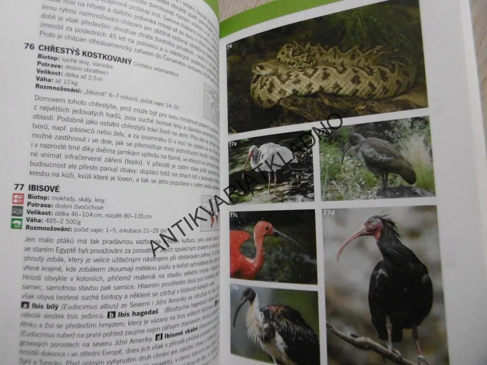 LEXIKON ZVÍŘAT OD A DO Z, ZOO PRAHA, **an