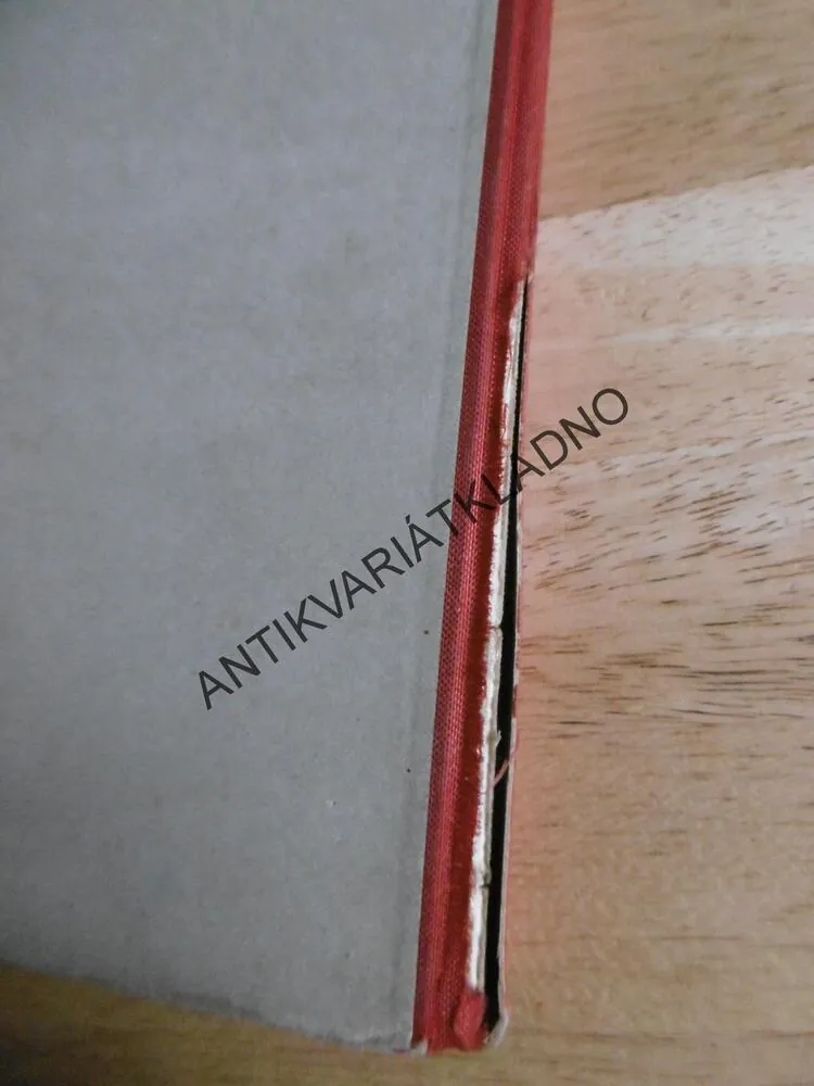 MILČA Z NAŠÍ PRIMY, J.HÜTTLOVÁ, HORNÍK