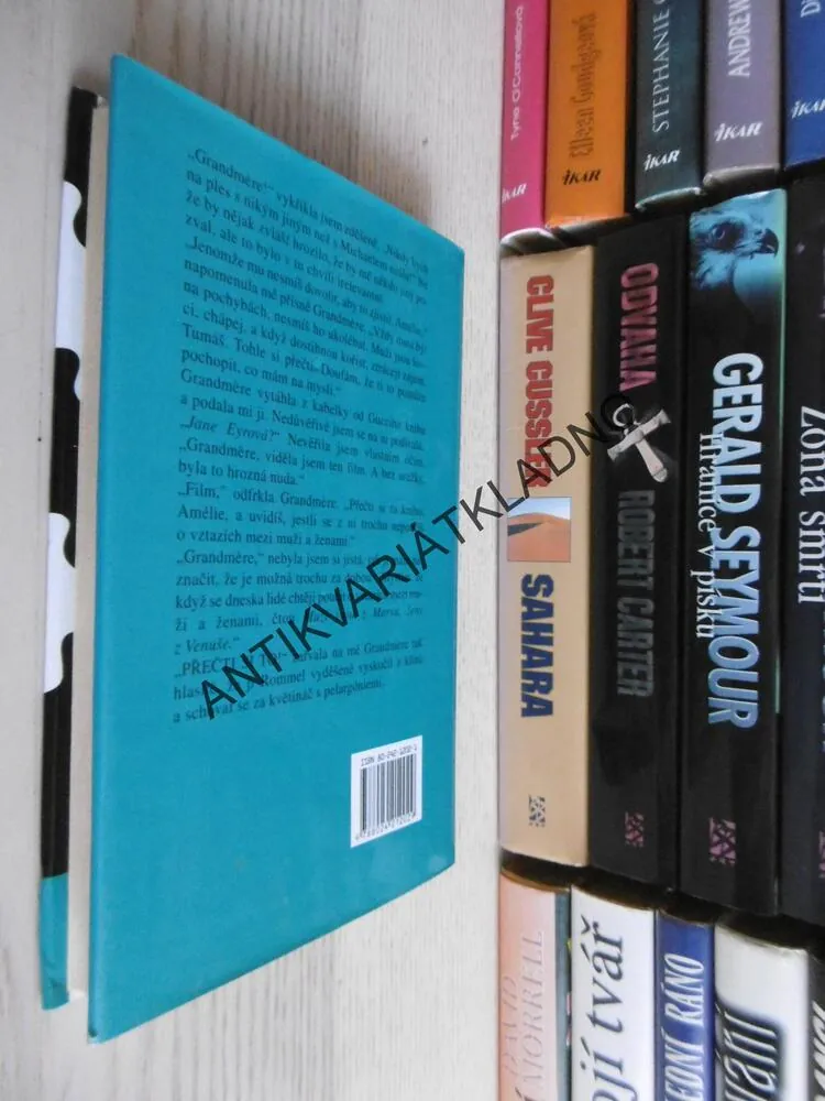 POVINNOSTI PRINCEZNY, MEG CABOTOVÁ, **an