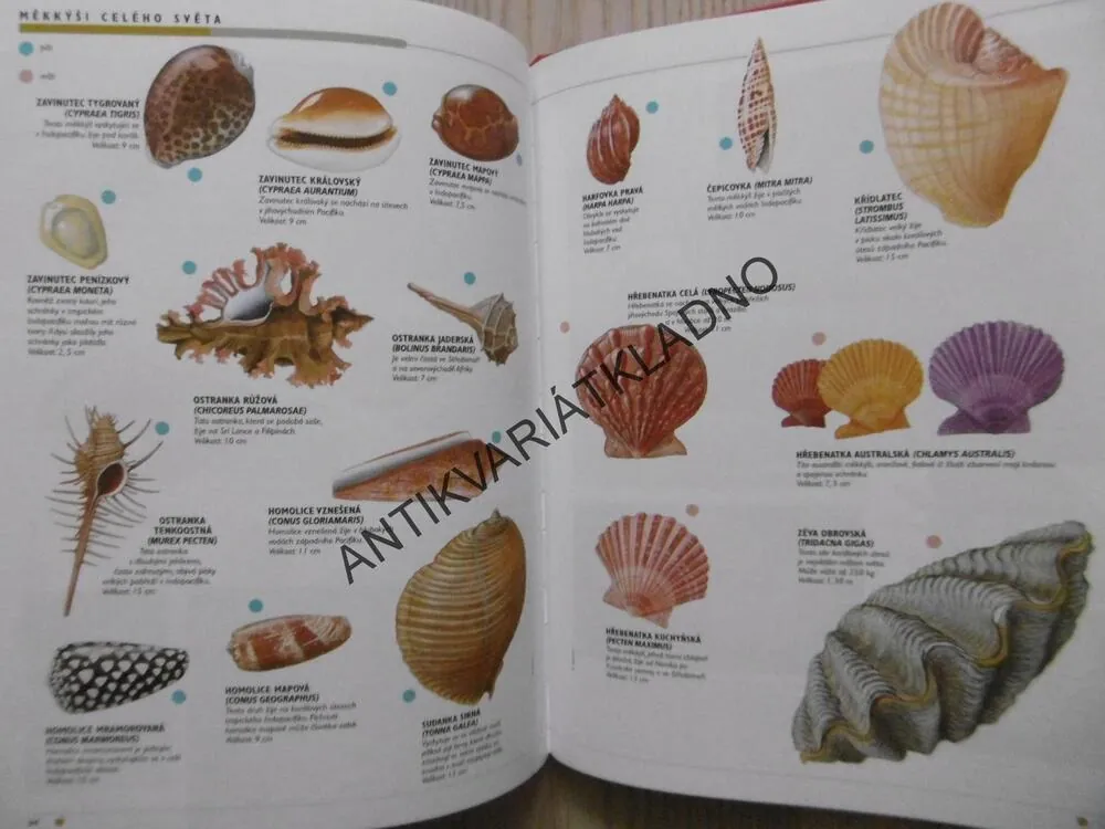 VŠE O NAŠEM SVĚTĚ, 1., MOŘŠTÍ ŽIVOČICHOVÉ, **an