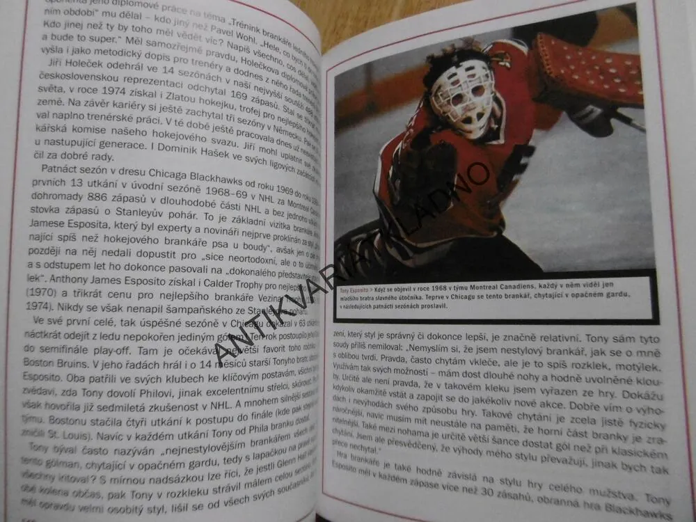 PŘEHLEDY Z HOKEJOVÉ BRANKY, KOLIŠ, HAŠEK, HOKEJ,