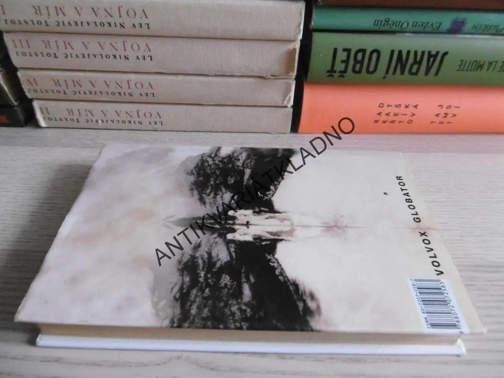 MAGICKÉ POHYBY, CARLOS CASTANEDA, **an