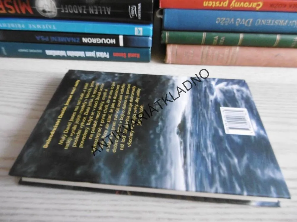 ZLATÁ JEHLA ANEB DOBRODRUŽSTVÍ MEZI SVĚTY, JULIA GOLDINGOVÁ, **an