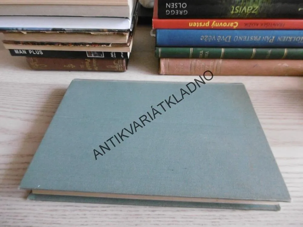 DĚVČE PERIFERIE, MANŽELSKÉ PEKLO, MATČINA KLETBA, VOŘÍŠKOVÁ, **an